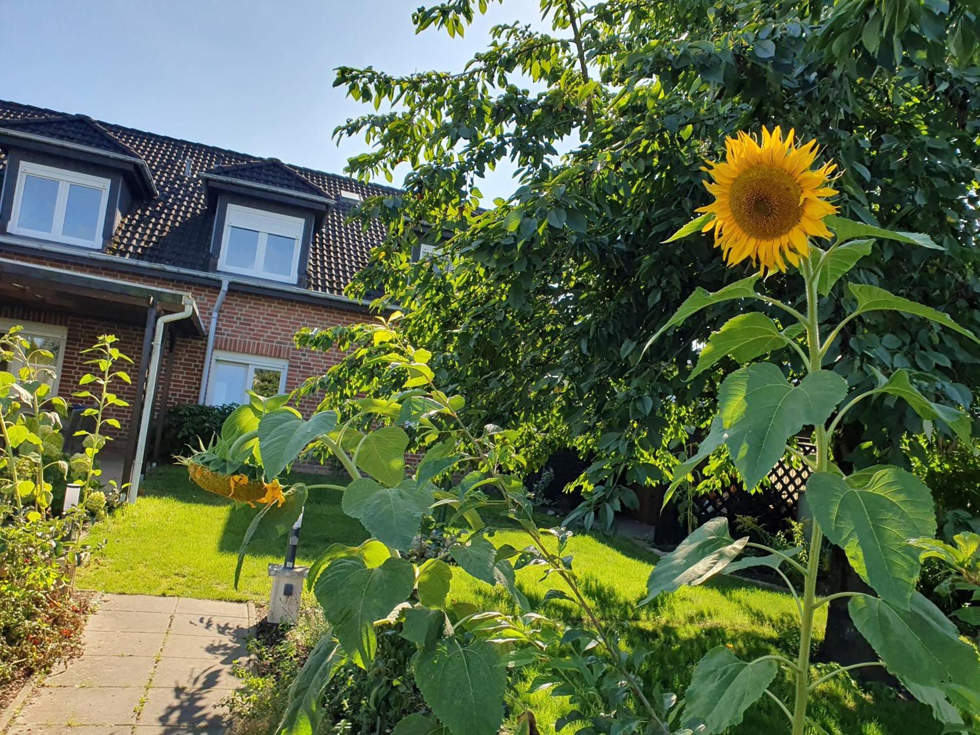 Neumuehler Hof- Stilvolle Ferienwohnung "Lisa", Kostenfreie Parkplaetze Und Netflix Schwerin  Exterior foto